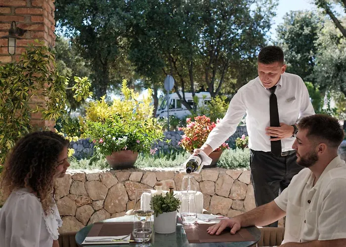 假日公园 Amadria Park Deluxe Mobile 4*